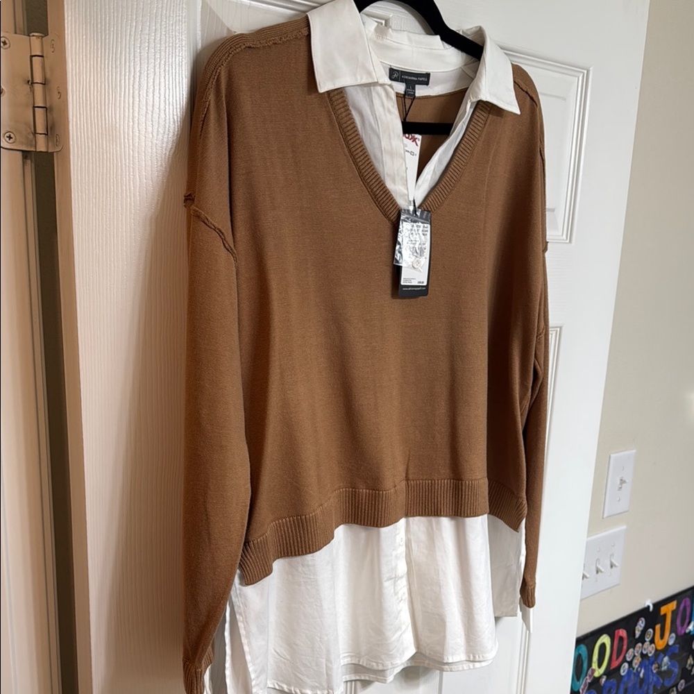 Zara Tan V-Neck Sweater with Cream Layered Shirt